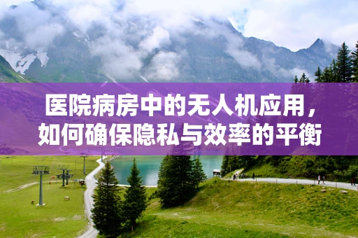 医院病房中的无人机应用，如何确保隐私与效率的平衡？
