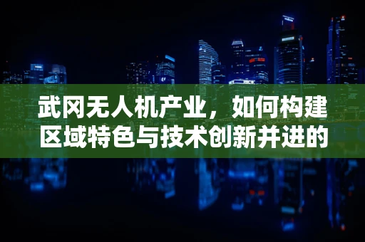 武冈无人机产业，如何构建区域特色与技术创新并进的供应链？