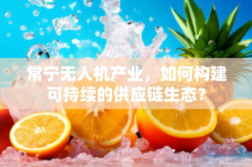 常宁无人机产业，如何构建可持续的供应链生态？
