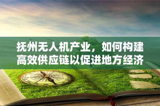 抚州无人机产业，如何构建高效供应链以促进地方经济发展？