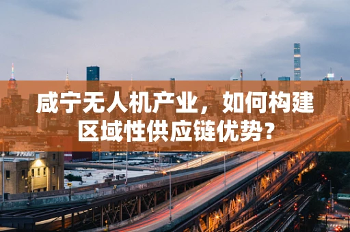 咸宁无人机产业，如何构建区域性供应链优势？