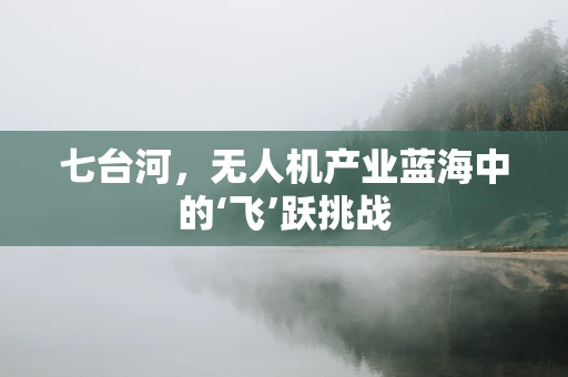 七台河，无人机产业蓝海中的‘飞’跃挑战