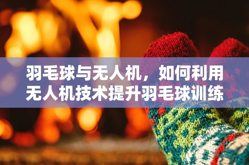 羽毛球与无人机，如何利用无人机技术提升羽毛球训练的效率与趣味性？