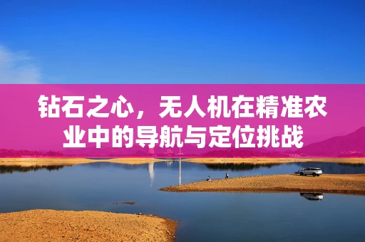 钻石之心，无人机在精准农业中的导航与定位挑战
