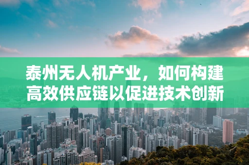 泰州无人机产业，如何构建高效供应链以促进技术创新？