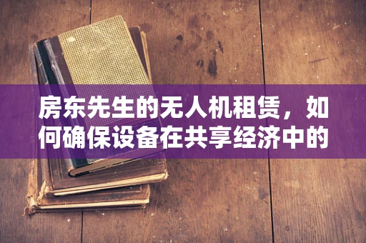 房东先生的无人机租赁，如何确保设备在共享经济中的安全与高效？