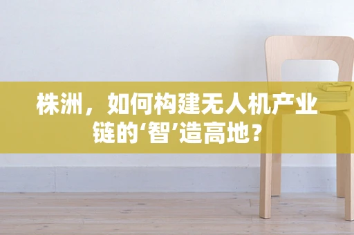 株洲，如何构建无人机产业链的‘智’造高地？