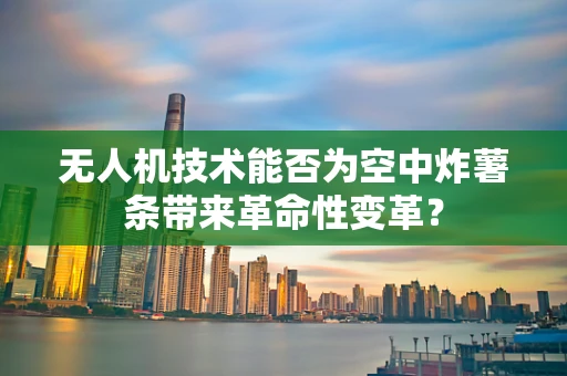 无人机技术能否为空中炸薯条带来革命性变革？