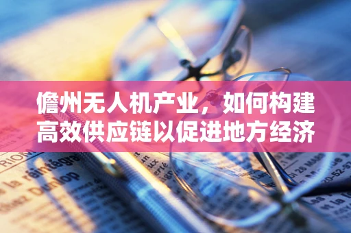 儋州无人机产业，如何构建高效供应链以促进地方经济发展？