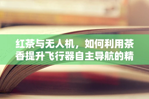 红茶与无人机，如何利用茶香提升飞行器自主导航的精准度？