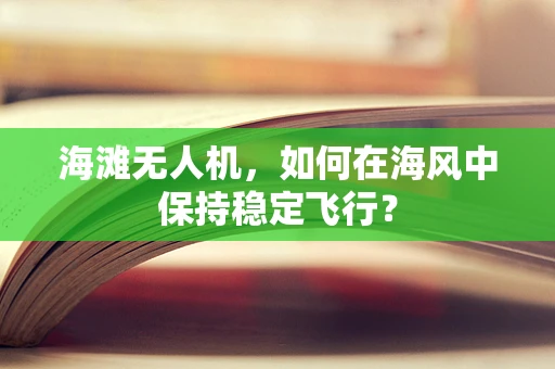 海滩无人机，如何在海风中保持稳定飞行？