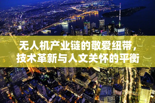 无人机产业链的敬爱纽带，技术革新与人文关怀的平衡