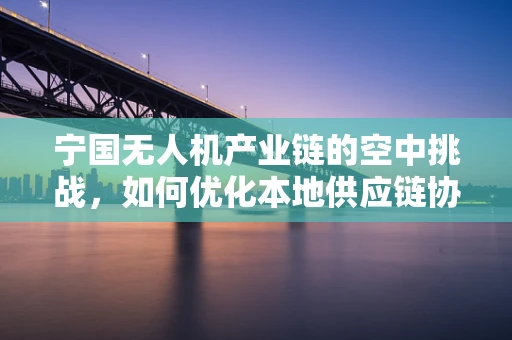 宁国无人机产业链的空中挑战，如何优化本地供应链协同？