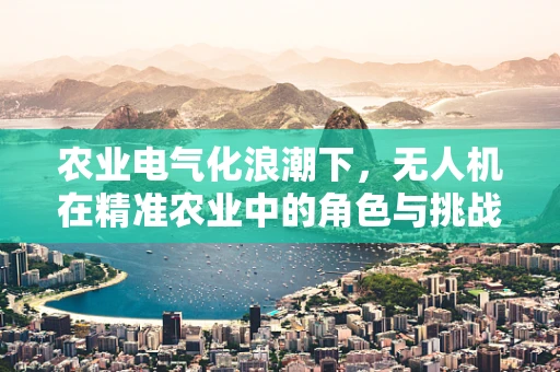 农业电气化浪潮下，无人机在精准农业中的角色与挑战何在？