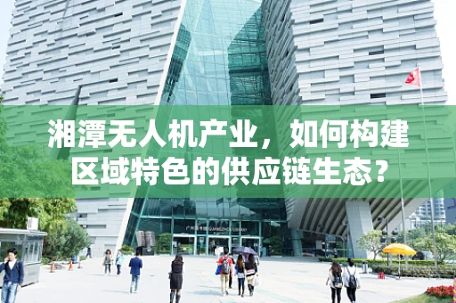 湘潭无人机产业，如何构建区域特色的供应链生态？