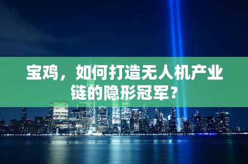 宝鸡，如何打造无人机产业链的隐形冠军？