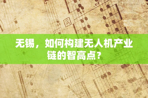 无锡，如何构建无人机产业链的智高点？