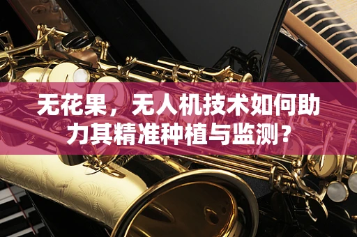 无花果，无人机技术如何助力其精准种植与监测？