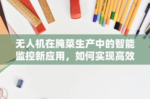 无人机在腌菜生产中的智能监控新应用，如何实现高效、无损检测？