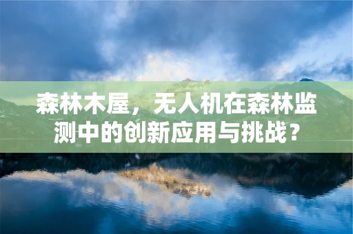 森林木屋，无人机在森林监测中的创新应用与挑战？
