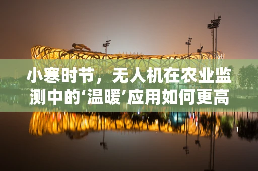 小寒时节，无人机在农业监测中的‘温暖’应用如何更高效？