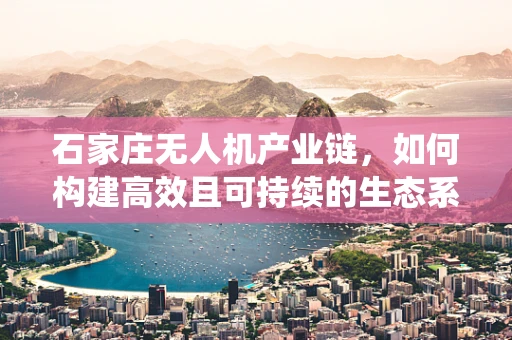 石家庄无人机产业链，如何构建高效且可持续的生态系统？