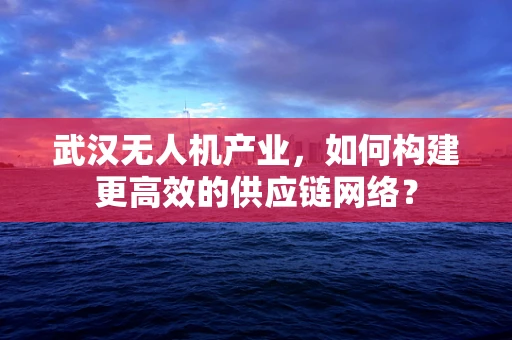 武汉无人机产业，如何构建更高效的供应链网络？