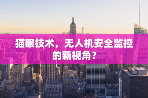 猫眼技术，无人机安全监控的新视角？