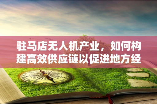 驻马店无人机产业，如何构建高效供应链以促进地方经济发展？