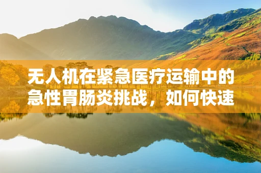 无人机在紧急医疗运输中的急性胃肠炎挑战，如何快速响应与安全送达？