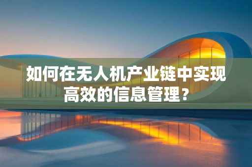 如何在无人机产业链中实现高效的信息管理？