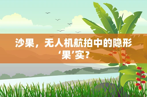 沙果，无人机航拍中的隐形‘果’实？