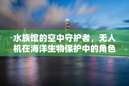 水族馆的空中守护者，无人机在海洋生物保护中的角色
