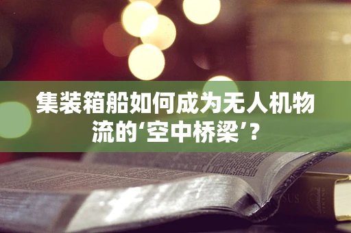 集装箱船如何成为无人机物流的‘空中桥梁’？