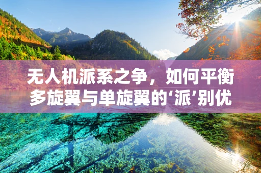 无人机派系之争，如何平衡多旋翼与单旋翼的‘派’别优势？