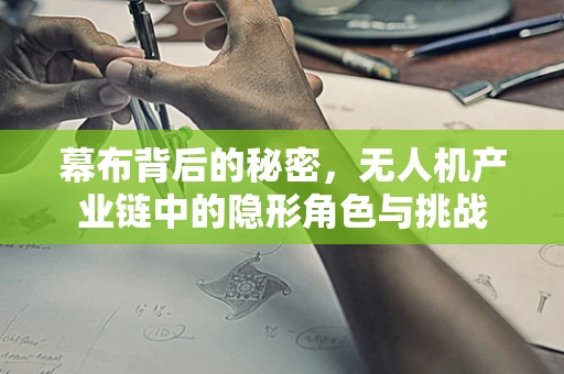 幕布背后的秘密，无人机产业链中的隐形角色与挑战