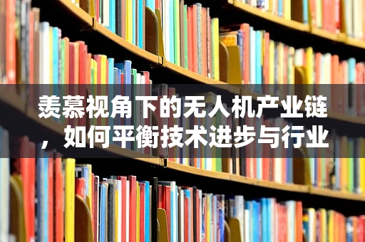 羡慕视角下的无人机产业链，如何平衡技术进步与行业公平？