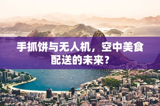 手抓饼与无人机，空中美食配送的未来？