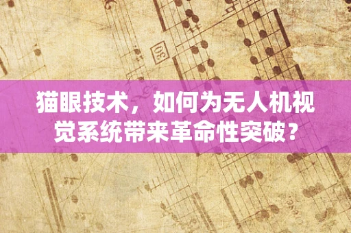 猫眼技术，如何为无人机视觉系统带来革命性突破？