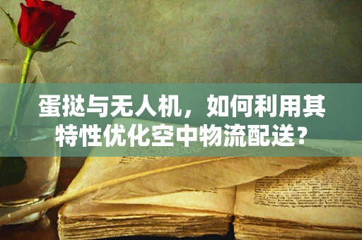 蛋挞与无人机，如何利用其特性优化空中物流配送？