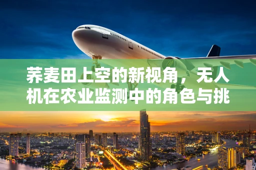 荞麦田上空的新视角，无人机在农业监测中的角色与挑战