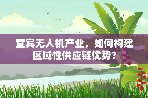 宜宾无人机产业，如何构建区域性供应链优势？