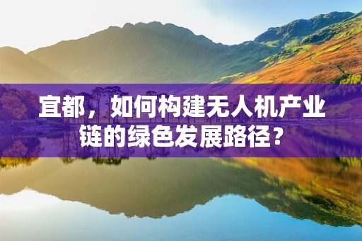 宜都，如何构建无人机产业链的绿色发展路径？