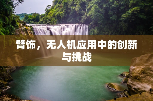 臂饰，无人机应用中的创新与挑战