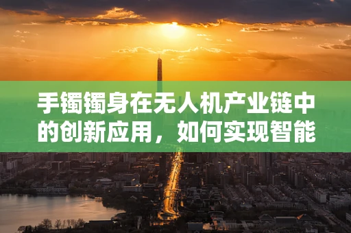 手镯镯身在无人机产业链中的创新应用，如何实现智能追踪与安全防护？