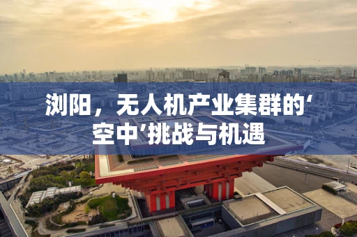 浏阳，无人机产业集群的‘空中’挑战与机遇