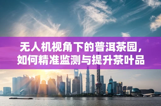 无人机视角下的普洱茶园，如何精准监测与提升茶叶品质？