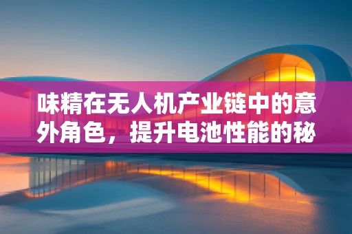 味精在无人机产业链中的意外角色，提升电池性能的秘密武器？
