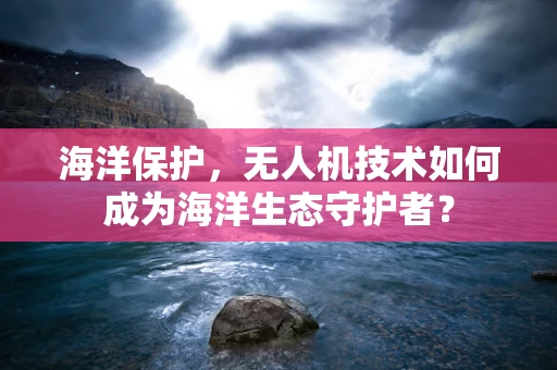 海洋保护，无人机技术如何成为海洋生态守护者？