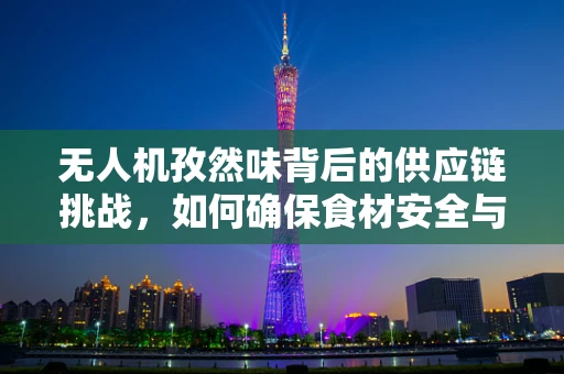 无人机孜然味背后的供应链挑战，如何确保食材安全与风味纯正？